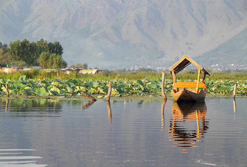 Cow Mat Manufacturer in Jammu and Kashmir